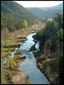 Caretaking in Paradise Image